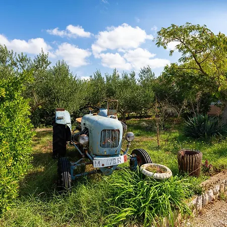 My Dalmatia - Nadalina With Private Pool And Jacuzzi Tatil Evi Vodice